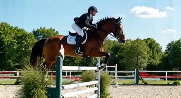 Das sind die Top 7 Schritte beim Springreiten