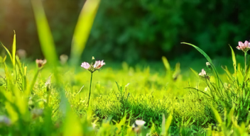 Das sind die Top 7 Schritte beim Training für die grüne Saison