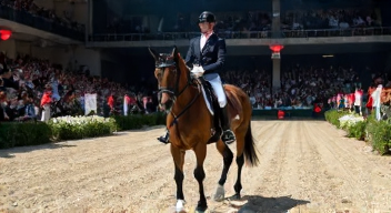 Der soziale Aspekt im Dressursport (6/10)