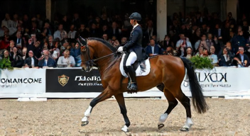 Finanzielle Aspekte im Dressursport (7/10)