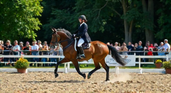 Soziale Dynamiken im Springreiten (6/10)