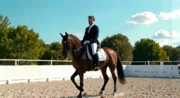 Technologie im Dressursport: Ein Experte auf dem Feld (4/10)