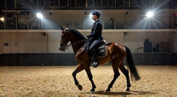 Das sind die Top 7 Schritte beim Dressurtraining