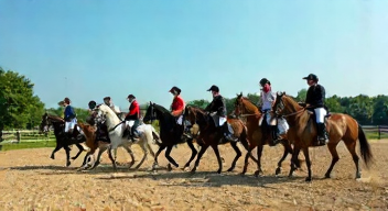 Das sind die Top 7 Schritte beim Pferdesport