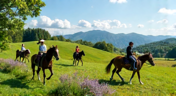 Das sind die Top 7 Schritte beim Pferdetourismus