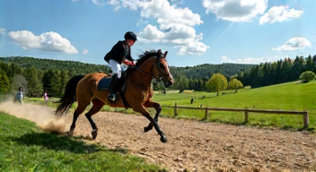 Das sind die Top 7 Schritte beim Pony-Springen