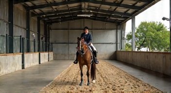 Die 5 meistgestellten Fragen (FAQ) zu Amateur-Reitsport