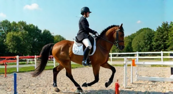 Die 6 häufigsten Fehler bei den Lenklarer Reitertagen