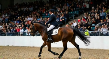 Die 6 häufigsten Fehler bei internationalen Reitsportturnieren