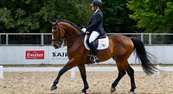 Die 6 häufigsten Fehler bei Reitsport-Wettkämpfen