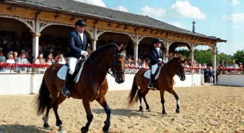 Die Bedeutung von Wettbewerben für die Reitergemeinschaft (10/10)