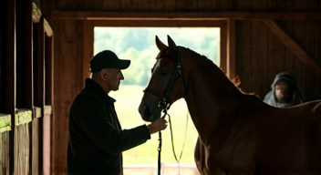 Die emotionale Bindung zu Schulpferden (3/10)