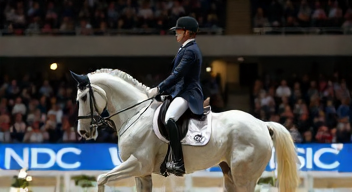 Die Konkurrenz im Dressursport (8/10)