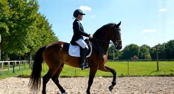 Mein Erlebnis in der Dressurwelt: Emotionen und Techniken (1/10)