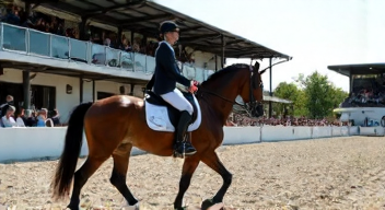 Ökonomische Aspekte im Reitsport (7/10)