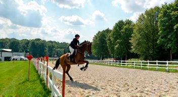 Perspektiven zu Amateur-Reitsport und Meisterschaften