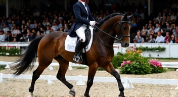 Perspektiven zu Dressur und sportlichem Erfolg