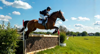 Perspektiven zu Erfolgen im Reitsport