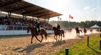 Soziale Dynamiken im Pferdesport und ihre Bedeutung (4/10)